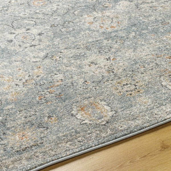 Pavan Area Rug Online - Image 5