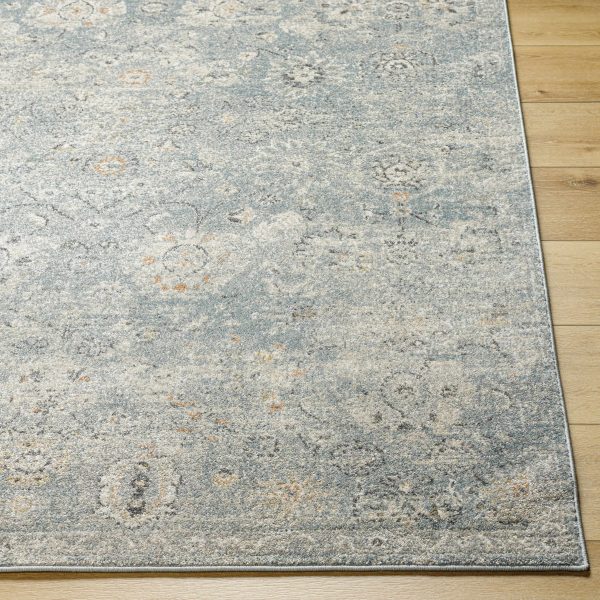 Pavan Area Rug Online - Image 2