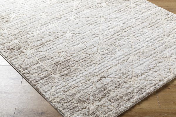 Tyree Area Rug For Cheap