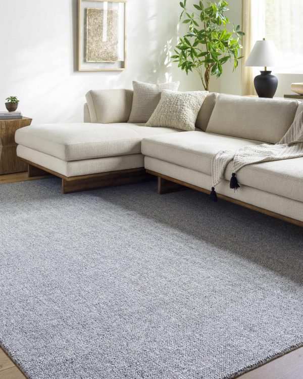 Zareh Blue Solid Area Rug Hot on Sale