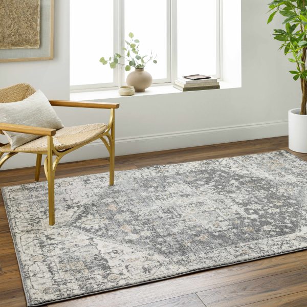 Mansi Distressed Gray Area Rug Supply - Image 2
