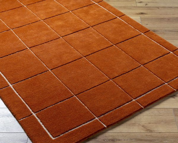 Siarl Burnt Orange Checkered Area Rug For Discount - Image 3