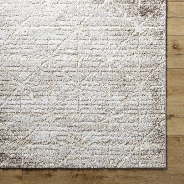 Tyree Area Rug For Cheap - Image 5