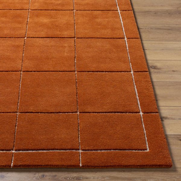 Siarl Burnt Orange Checkered Area Rug For Discount - Image 2
