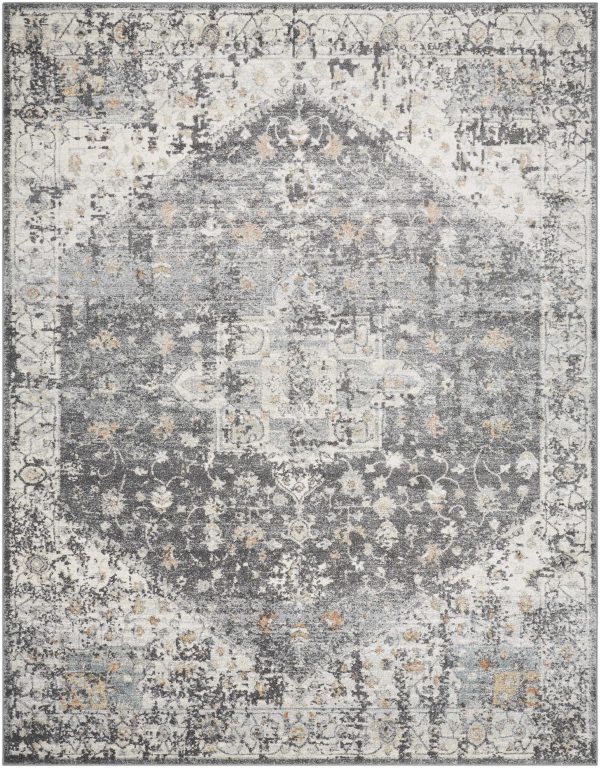 Mansi Distressed Gray Area Rug Supply