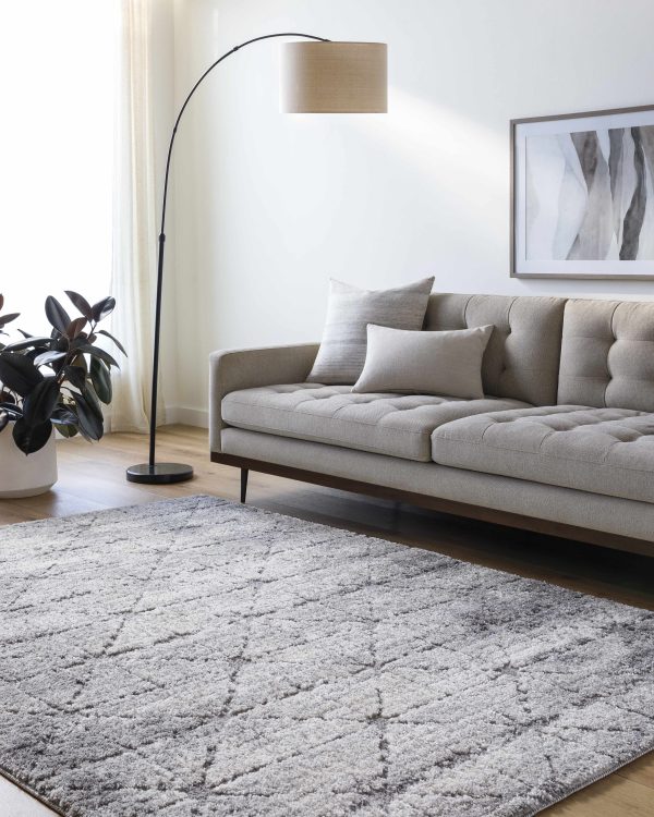 Tyree Distressed Gray Trellis Area Rug Hot on Sale
