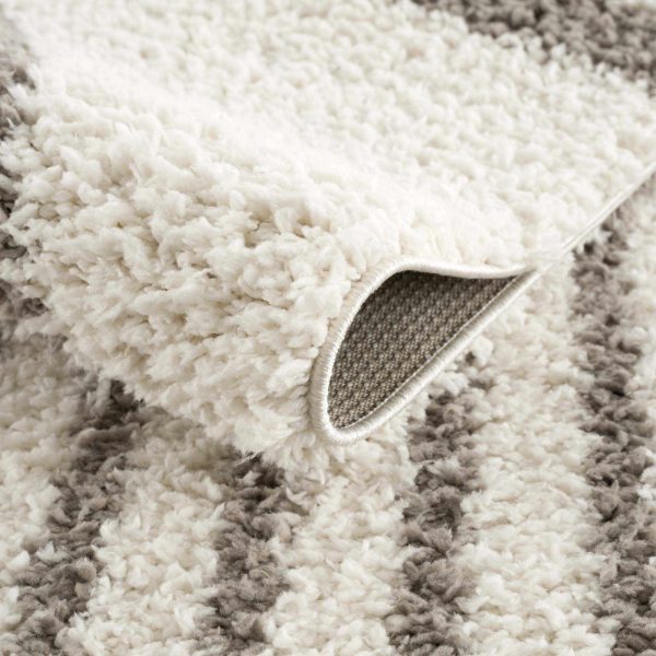 Jola Taupe Area Rug Fashion - Image 5