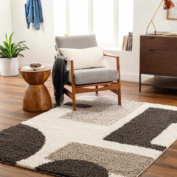 Muni Area Rug For Discount - Image 5