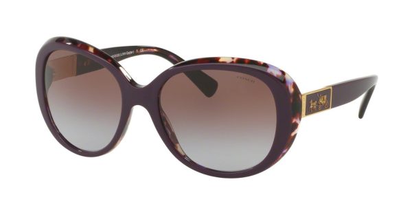 Coach HC8120F Oval Sunglasses Online Hot Sale